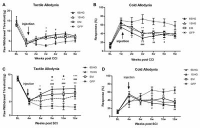 Experimental Gene Therapy with Serine-Histogranin and Endomorphin 1 for the Treatment of Chronic Neuropathic Pain